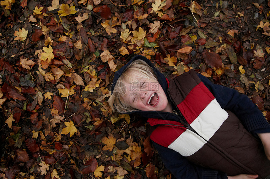 小男孩躺在秋叶上图片