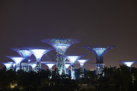 超级树木林新加坡夜间海湾花园中的超级树树林背景