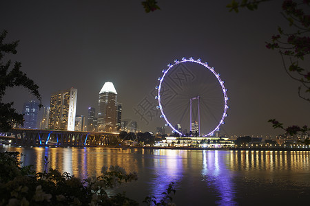 新加坡海滨摩天轮夜景图片