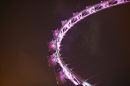 新加坡粉红摩天轮的细节图片