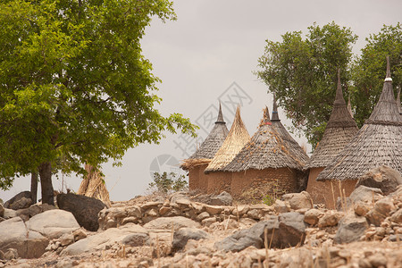 喀麦隆北部的Djinglya村茅草屋高清图片