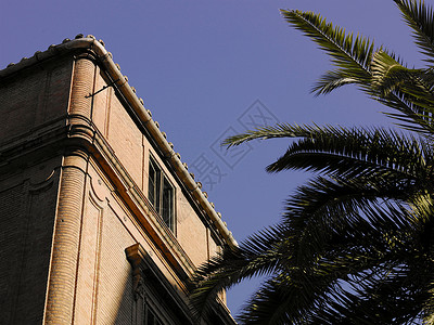 西班牙安达卢西亚马拉加老城建筑外观和棕榈叶图片