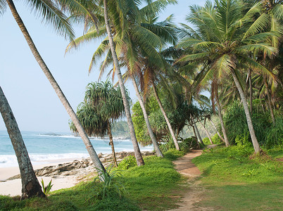 斯里兰卡坦加拉沿海岸线的人行道图片