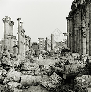 叙利亚帕尔米拉古城遗址背景图片