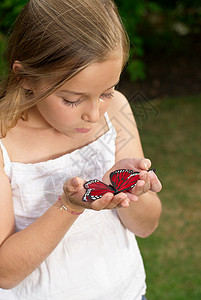 看蝴蝶的小人简笔画抱蝴蝶的小女孩背景