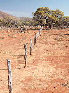 澳大利亚南澳大利亚州盖勒山脉国家公园的围栏界桩图片