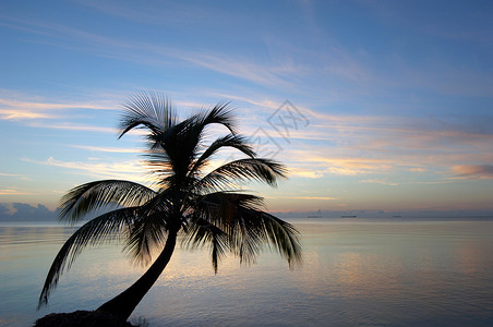 加勒比海热带海滩日出加勒比海图片