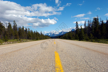 哥伦比亚冰原通往落基山脉的冰原公园公路背景