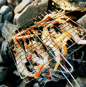 碳烤明虾对虾背景图片