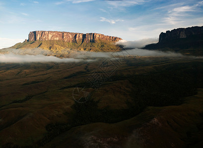 壮丽的罗雷马山，耸立在委内瑞拉大萨巴纳森林景观之上背景图片