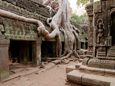 柬埔寨暹粒省吴哥窟塔普伦寺遗址高清图片