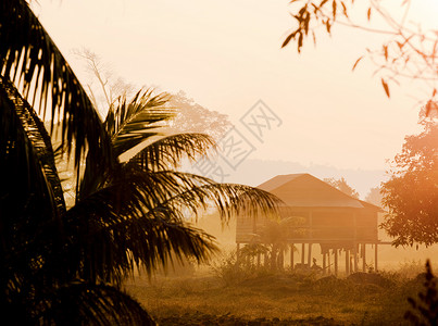 柬埔寨暹粒省农村的一栋高跷房图片