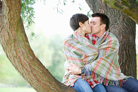 情侣在树上接吻图片