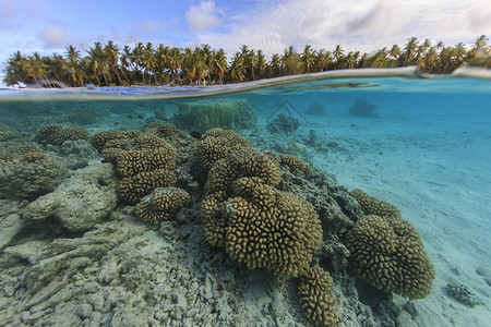 超过低于库克群岛帕默斯顿环礁珊瑚礁的水下和水面视图背景