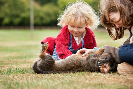 女孩和宠物孩子和狗玩耍背景