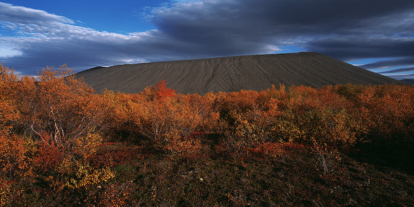 火山口底部生长的树木图片