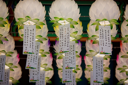 韩国灯笼素材韩国寺庙中的纸灯背景