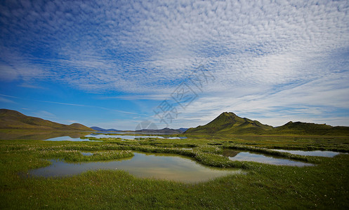 乡村景观中的草沼泽图片