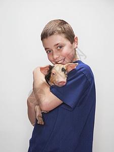 吃面猪和男孩抱着小猪的男孩背景