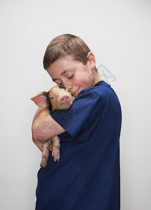 磨面猪和男孩抱男孩的小猪背景