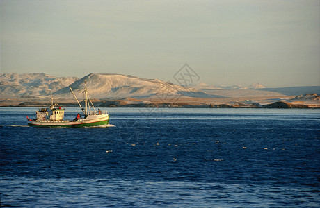 在海湾航行的渔船图片