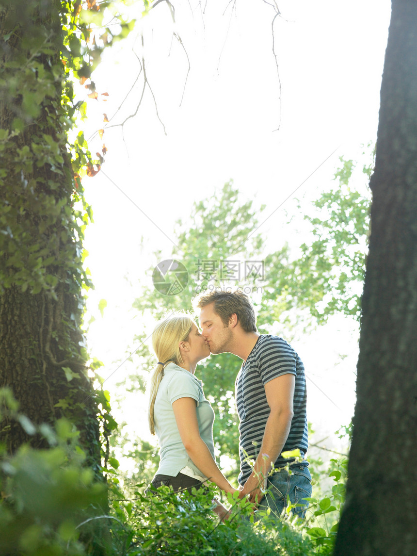 情侣在树林里接吻图片