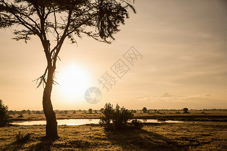 肯尼亚肯尼亚山附近野生动物保护区日落时的水坑高清图片