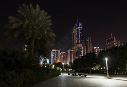 阿拉伯联合酋长国迪拜市棕榈树和街道图片