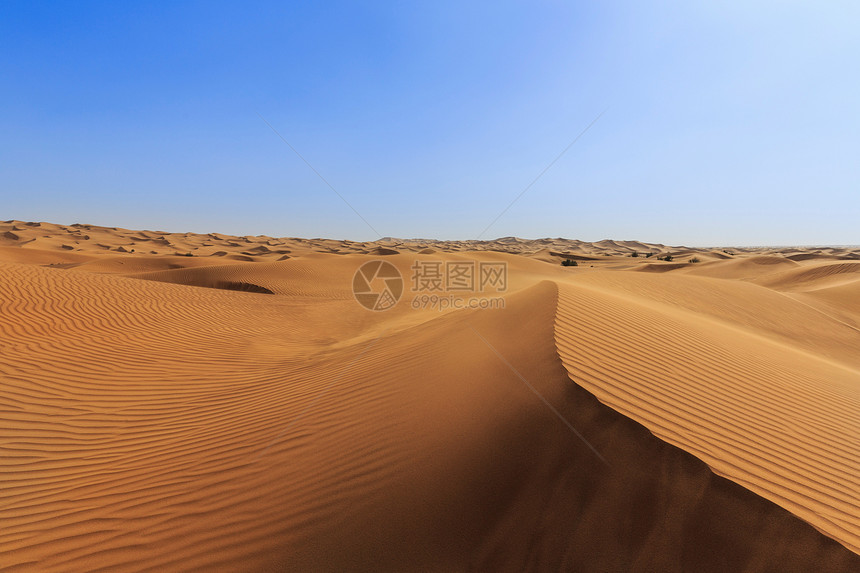 阿拉伯联合酋长国迪拜沙漠中的沙丘图片