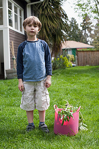 花园的男孩图片