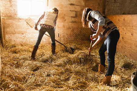 两个年轻妇女在马厩里铺草床图片