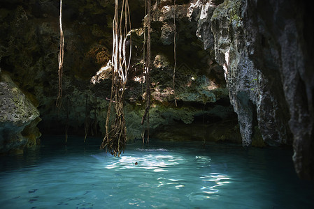 墨西哥塞诺特的洞穴和水景背景图片