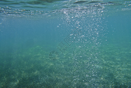 海洋中的水下气泡图片