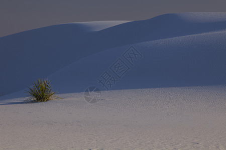 美国新墨西哥州白沙沙丘上的蓝色阴影图片