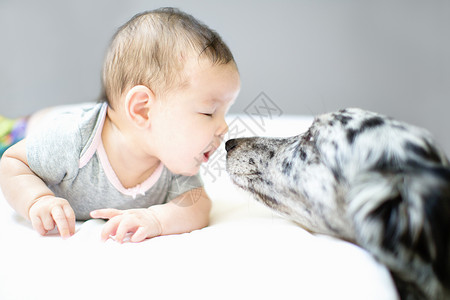 女婴与宠物狗面对面背景图片