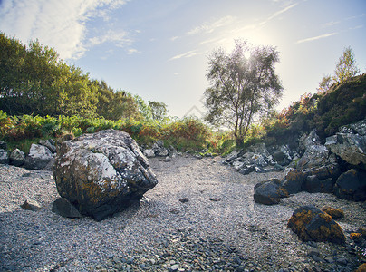 苏格兰高地岩石景观上的巨石和灌木图片