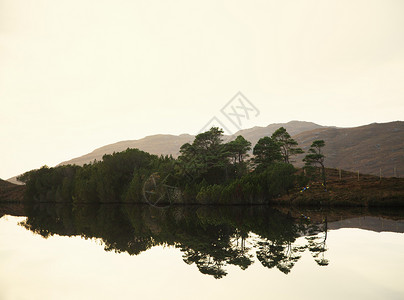 平静的湖和树木背景图片