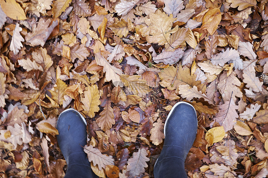 穿胶靴的女人在秋叶堆中图片