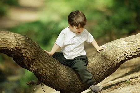 坐在树上的男孩图片