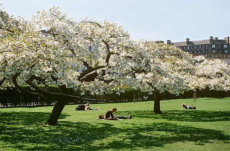 伦敦丽晶公园图片