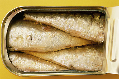 三种罐头罐头中沙丁鱼的特写镜头背景