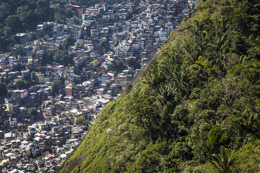 巴西里约热内卢树木和拥挤的贫民窟鸟瞰图图片