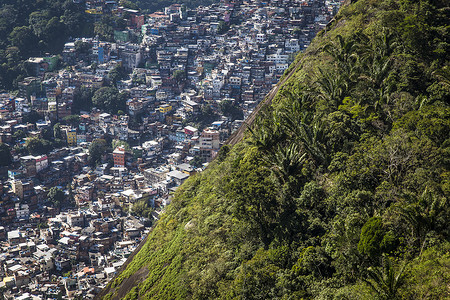 巴西里约热内卢树木和拥挤的贫民窟鸟瞰图背景图片