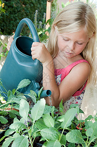 浇灌植物的女孩图片