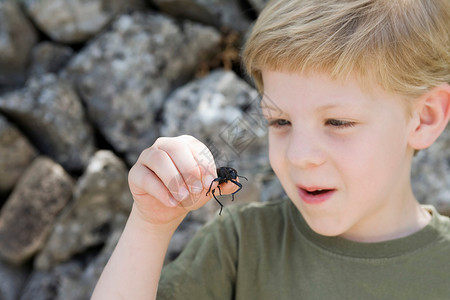 看蚂蚁素材拿着甲虫的小男孩背景
