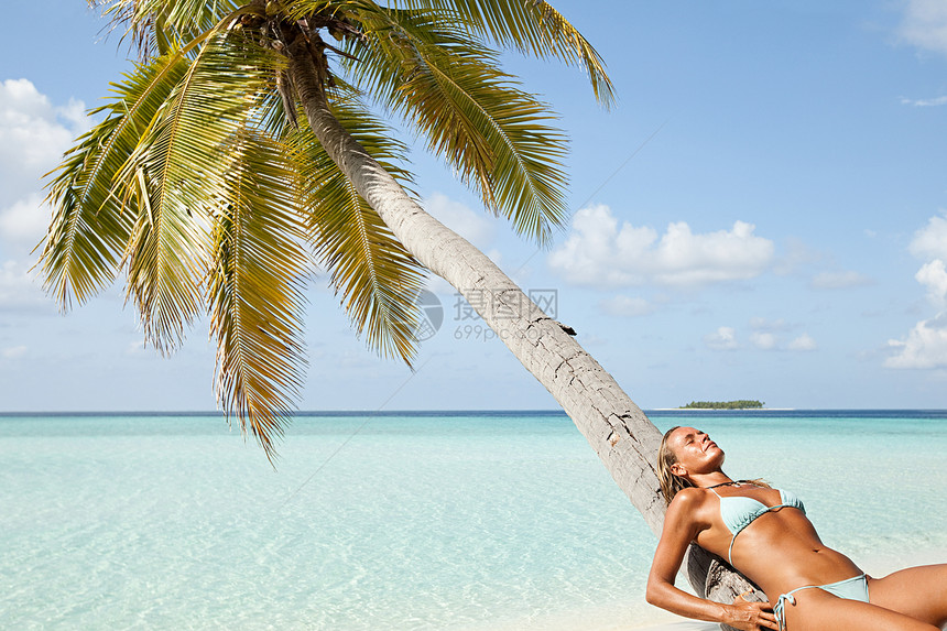 马尔代夫倚靠棕榈树的女人图片