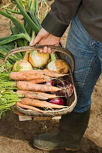 篮子里的新鲜蔬菜图片