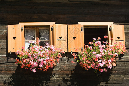 瑞士房子外面的花背景图片
