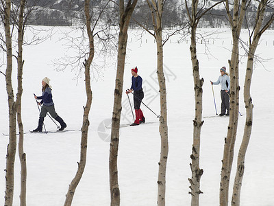 滑雪者在雪中跋涉图片