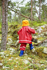 森林里散步的幼童背景图片